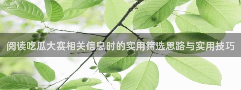 吃瓜网:阅读吃瓜大赛相关信息时的实用筛选思路与实用技巧