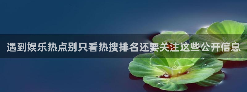 911黑料吃瓜：遇到娱乐热点别只看热搜排名还要关注这些公开信息