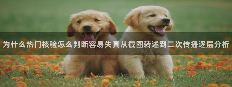 在线吃瓜网:为什么热门核验怎么判断容易失真从截图转述到二次传播逐层分析