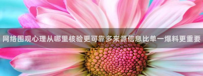 免费吃瓜网：网络围观心理从哪里核验更可靠多来源信息比单一爆料更重要