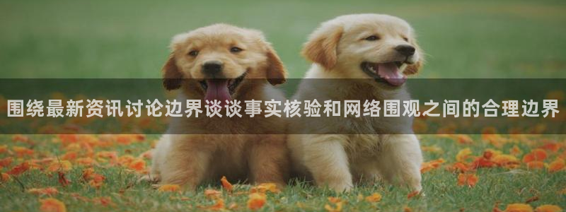 吃瓜爆料免费：围绕最新资讯讨论边界谈谈事实核验和网络围观之间的合理边界
