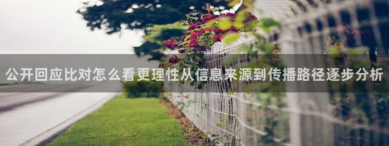 真实吃瓜爆料视频大全:公开回应比对怎么看更理性从信息来源到传播路径逐步分析